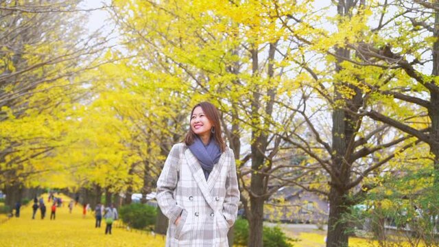 Smiling young Asian woman tourist walking and looking at beautiful yellow ginkgo biloba leaves falling down during autumn at Showa Kinen Park in Japan. Japan travel vacation and season change concept.