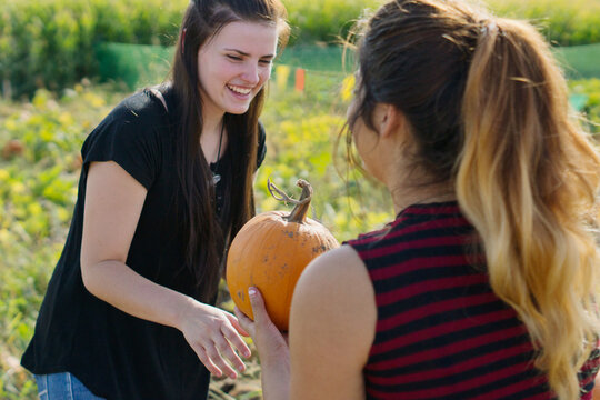 laughing teenagers in pumpkin patch