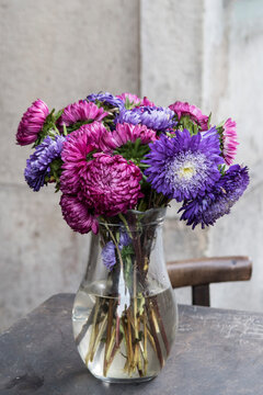 Pink and purple chrysanthemums in a vase