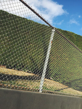 Chain-link fence in front of bush