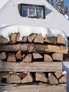 Pile of woods covered with snow