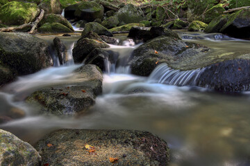 Mountain stream in forest with cascades