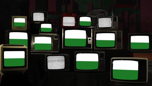 Flag of the German state of Saxony and Vintage Televisions.