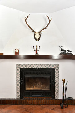 Modern fireplace with deer horns.