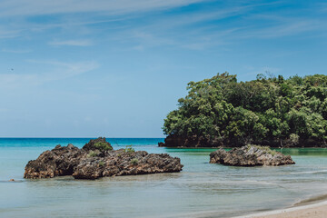 Paradise beach with white sand, rocks, palm trees and blue water of Atlantic Ocean, Las Terrenas, Samana, Dominican Republic