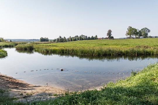 Swimming area at the river Krutynia in Masuria/ Poland