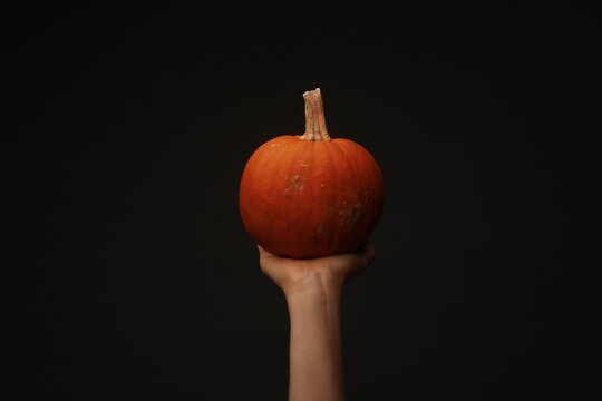 Pumpkin Portraits