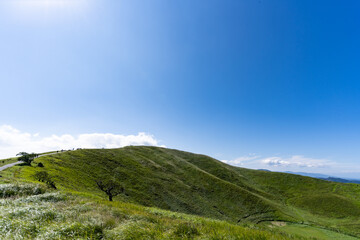 Fototapeta premium 大室山の山頂から見られる絶景