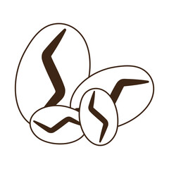 coffee seeds dry line icon style