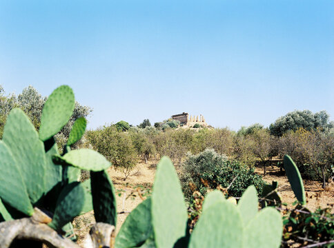 Temple of Hera, Sicily