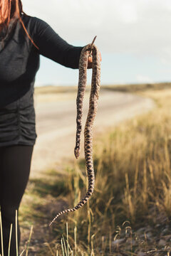 A woman holding a dead snake