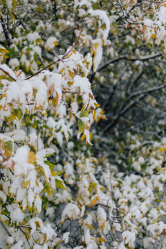 When Fall Meets Winter