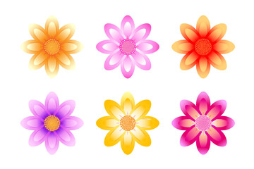 flowers vector set on white background, vector design.