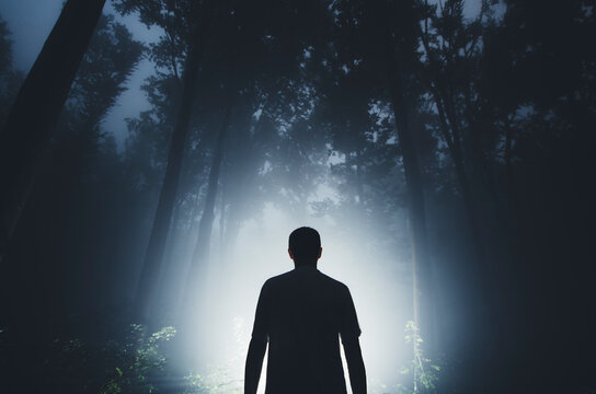Man silhouette in haunted forest at night