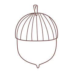 autumn acorn seed isolated icon design line style