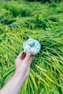 Colorful Doughnut