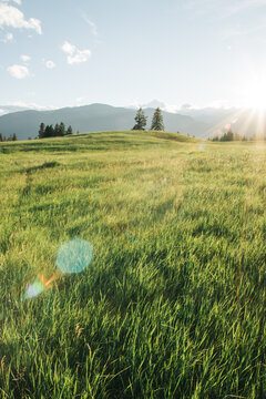 Dramatic sunshine over ripe hay field
