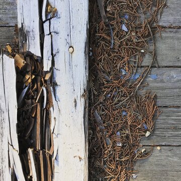 rotten wood and decal of an old house