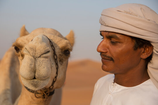 A Man Looking at his Camel