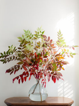 Fall Foliage in a Vase