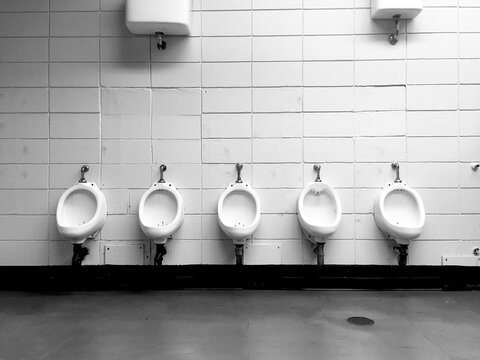 Row of Urinals