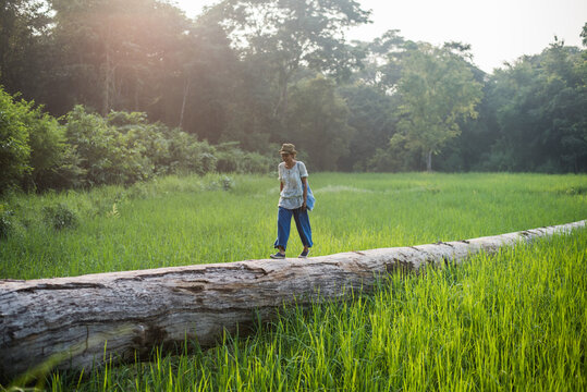 Walking in the forest