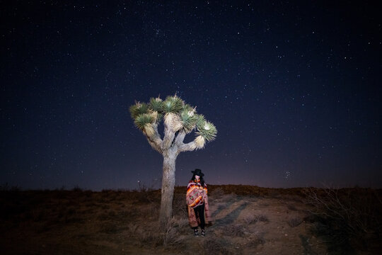 Woman in Blanket Standing under Joshua Tree with Starry Sky