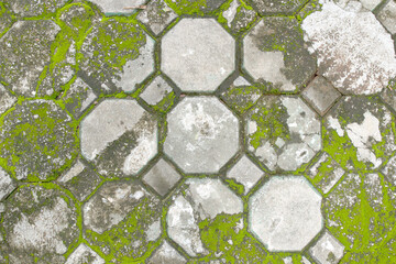 Old stone floor lichen walkway background