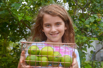 Smiling girl holding a basket of freshly picked limes in front of a lime tree