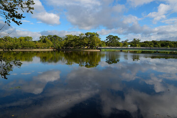 Fototapeta na wymiar 池の水面に青空と雲が映り込んでいる風景