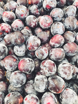 Organic plums for sale at farmers market