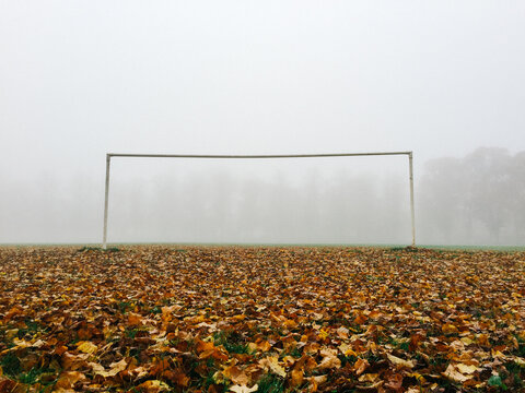 Soccer goalpost, fog and leaves