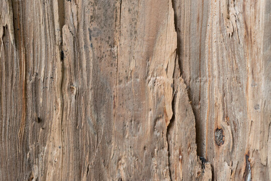 wood texture