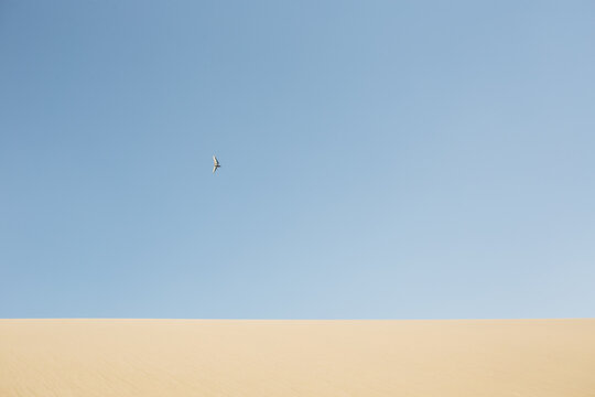Glider in Mingsha Mountain,Dunhuang,Gansu province