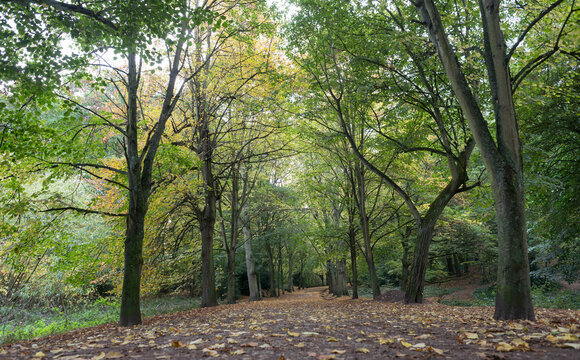 Hampstead Heath, North London, England, United Kingdom, Europe