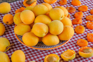 Apricots in a plate with dried apricots high angle view on a picnic cloth background