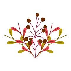 nature foliage leaves and berries isolated icon design