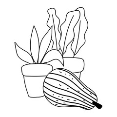 gardening, potted plant and pumpkin vegetable nature isolated line icon style