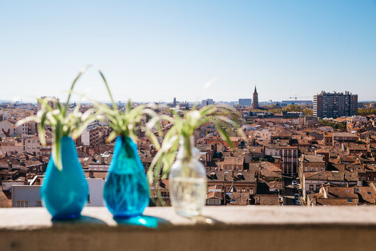 Cuttings in small bottles on a city balcony