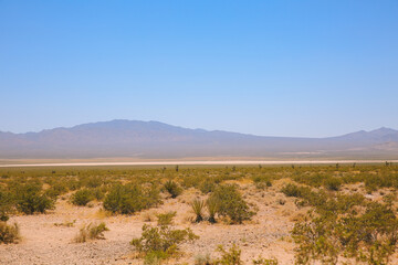 Desert, Las Vegas, Nevada