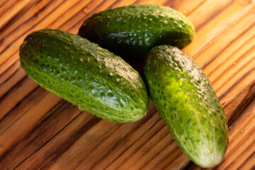 fresh cucumbers on the table