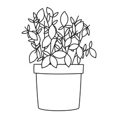 gardening, potted plant leaves nature isolated line icon style