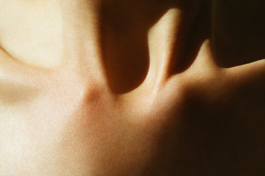 clavicle bone closeup in the light and shadow