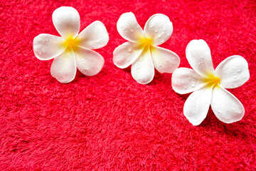 Fototapeta na wymiar frangipani flowers on mat