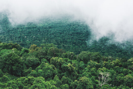 Pha Mo E Dang in Khao Pra Wihan National Park,Thailand