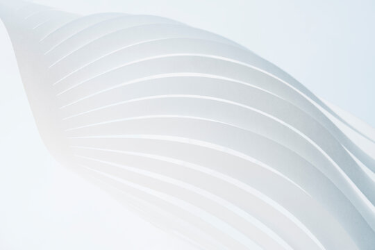 Lines Forming a Wing on a White Surface