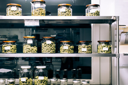 Cannabis processing.