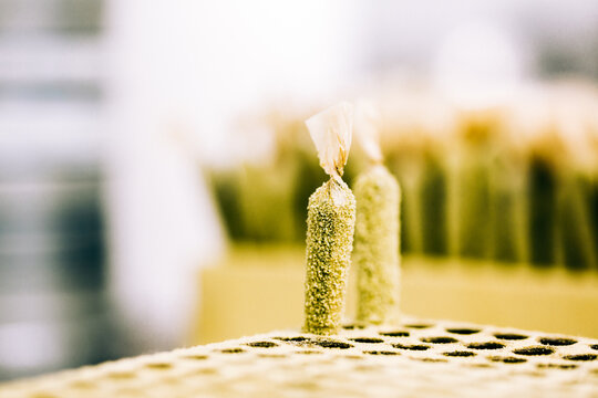 Rolling Joints
