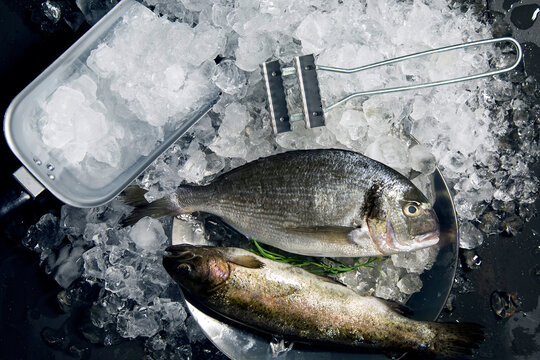 Fish and peeling knife on ice