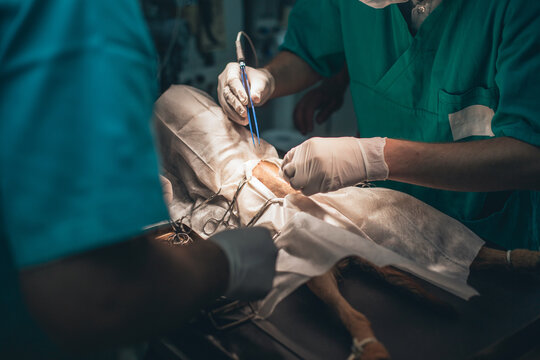 It's All about Saving Lives